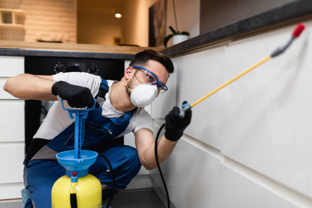 Best Local Pest Control Services  in Butte, MT