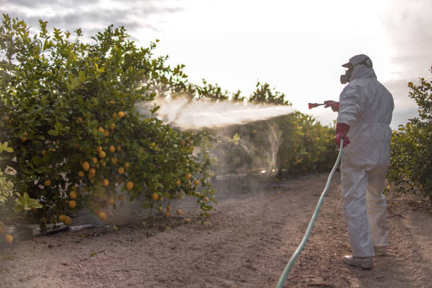 Best Residential Pest Control  in Butte, MT