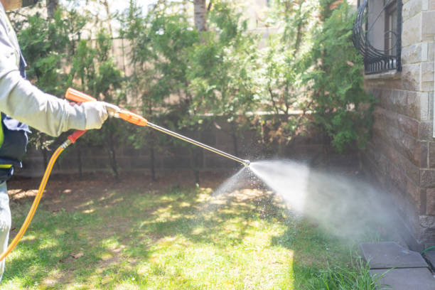 Best Local Pest Control Services  in Butte, MT