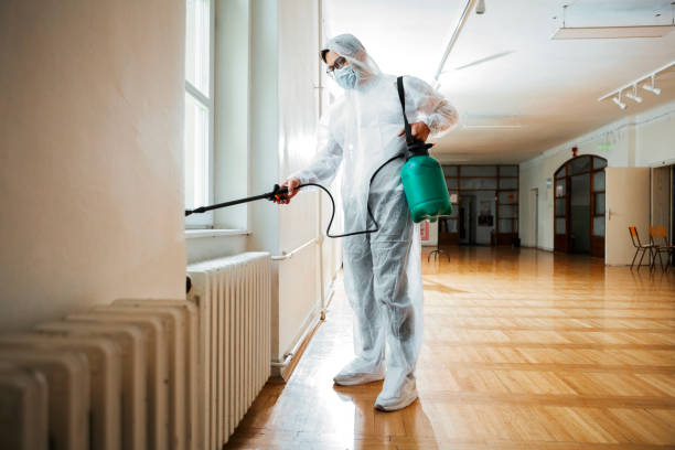 Best Affordable Pest Control Services  in Butte, MT