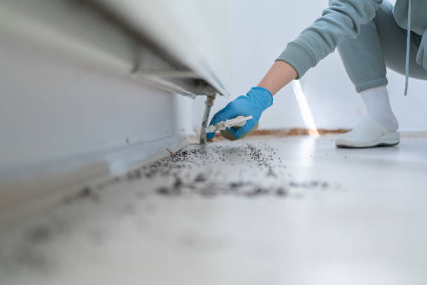 Best Pest Control Near Me  in Butte, MT